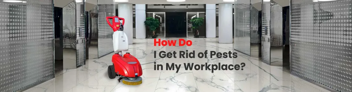 How to Get Rid of Insects at Work and at Home? Effective Solution with Floor Cleaning