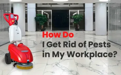 How to Get Rid of Insects at Work and at Home? Effective Solution with Floor Cleaning