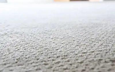 Yerinde Halı Yıkama Makinesi - Yılın İşçisi RotoAqua