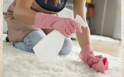 Evde Koltuk Temizliği Nasıl Yapılır? (Makinesiz)