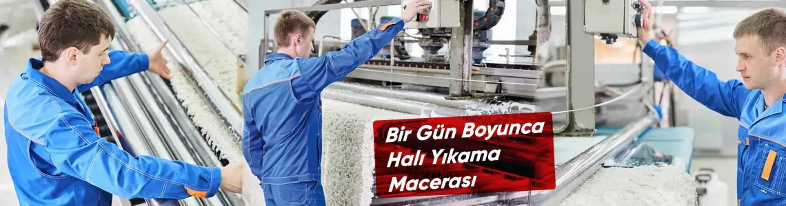 Halı Yıkamacı: Bir Gün Boyunca Halı Yıkama Macerası