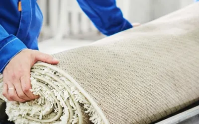 Halı Yıkama İşi Nasıl Kurulur ? Ana gereklilikler nelerdir?