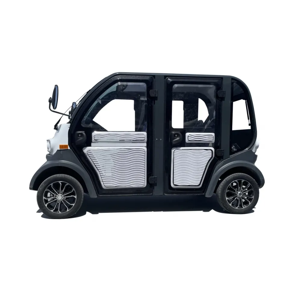 Mini Electric Vehicle DASS Macro+