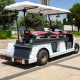 Elektrikli 2 Kişilik Sedyeli Golf Arabası Dass BAGI-2A